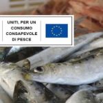 Festività, WWF: 'scegliete pesce sostenibile'