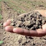 Siccità: agricoltura a rischio dal Piemonte al Veneto, l'allarme di Coldiretti