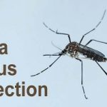 Zika: casi in USA e Australia, ma dall'India arriva la speranza di un vaccino