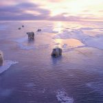 L’Artico si scalda il doppio del resto del pianeta, l’allarme di Greenpeace