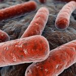Aumentano i casi di tubercolosi in italia, l'allarme degli esperti