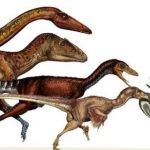 Una coda di dinosauro incastrata nell'ambra