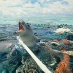 I rifiuti marini uccidono la fauna, danneggiano la pesca e compromettono il turismo