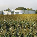 Come funzionano le centrali a biomasse? Durante gli Eco Open Days potrete visitarle