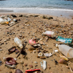 Spiagge italiane, indagine Legambiente: 670 rifiuti ogni 100 metri