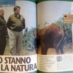Paolo Villaggio fu anche testimonial della campagna contro il commercio di avorio. Il ricordo del WW...