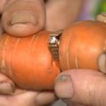 Una carota con il diamante al dito