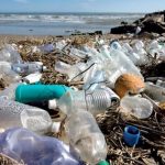 La guerra del Costa Rica alla plastica