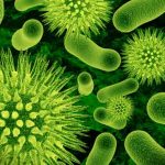 Il 99% dei microbi presenti nel nostro corpo sono sconosciuti alla scienza