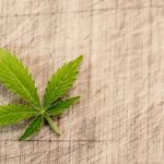 Gli effetti della marijuana sulla nostra salute