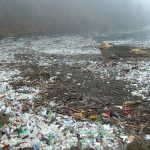I fiumi del mondo sono intasati di rifiuti farmaceutici