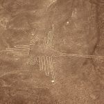 Scoperte oltre 50 nuove linee di Nazca