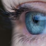 La retina, un potente computer biologico