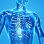 Le cellule staminali possono riparare il midollo spinale