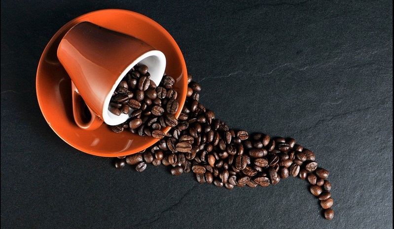 bustine compostabili caffè