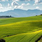 Agricoltura senza pesticidi entro il 2050