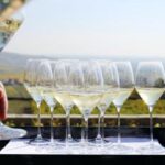 Champagne, da vigneron e Maison fiducia per il 2024 e nuovi impegni di filiera