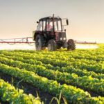 Syngenta Italia, nuovo video istituzionale sulla storia di innovazione al fianco degli agricoltori i...
