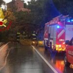 Maltempo in Liguria, cadono alberi e massi sull'Aurelia: strada chiusa in due tratti