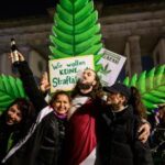 Germania legalizza 'parzialmente' la cannabis: cosa si potrà fare