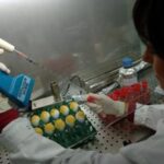 Aviaria, casi umani sottostimati: per esperte si rischia pandemia