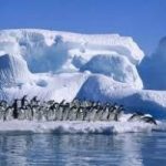Verso Sud, al Sud estremo dell'Antartide tra pinguini e albatros