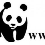 Il WWF Ungheria sceglie una pubblicita' ecosostenibile