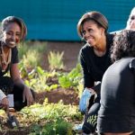 Le api di Michelle Obama e il miele della Casa Bianca