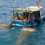 Pesca, non ci sara' Iva sul gasolio. Ma la filiera italiana del pesce rimane a rischio