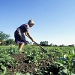 Premio De@terra, cinque donne premiate dal Ministero delle Politiche agricole