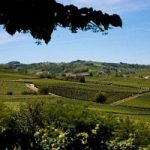 Unesco: unico candidato 2012 dell'Italia il Piemonte con le Langhe e il Monferrato