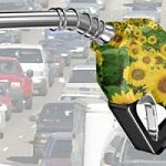 Biocarburante, il prezzo della benzina sale? Negli Usa si ricorre all'olio da cucina