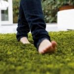 Casa, da oggi puoi camminare su un tappeto di erba