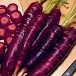 La carota viola controlla il diabete e l'ipertensione