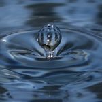 Forum mondiale dell'acqua: l’acqua virtuale causa di possibili guerre