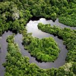 Ambiente: il Brasile riforma il codice forestale