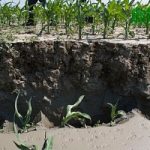 Terremoto in Emilia, il fenomeno della liquefazione della sabbia. Guarda il video