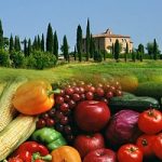 Nei supermercati italiani i prodotti biologici vengono dall'estero. L’inchiesta di Ecoseven.net