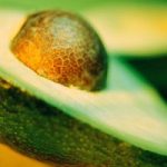 Avocado, un frutto tropicale che combatte l’Alzheimer