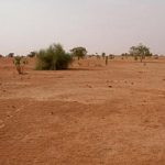 Algeria, pannelli fotovoltaici per fermare l' avanzata del deserto
