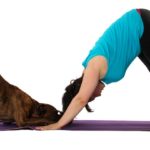 Dog-Yoga: anche i cani possono fare yoga