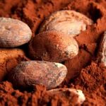 Il cacao fa bene al cervello e alla memoria
