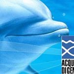 Acquario di Genova. Una nuova vasca firmata Renzo Piano per i delfini