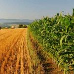 L’agricoltura come antidoto alla fame nel mondo