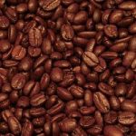 Caffè Arabica a rischio scomparsa, tutta colpa del fungo della ruggine