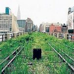 Architettura ecosostenibile: la High Line newyorkese diventa un giardino pensile
