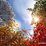 L’effetto serra cancella le stagioni