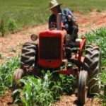 Al via la semplificazione del lavoro agricolo