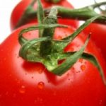 Mangiare pomodori combatte il cancro alla prostata