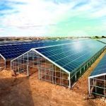 Agro-fotovoltaico: nascera’ a Gela il più grande impianto d’Europa